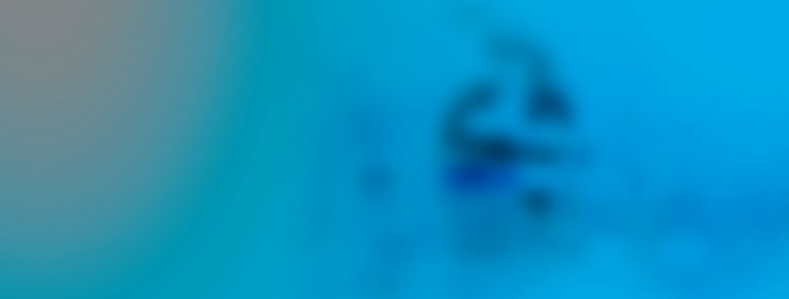 bg00001